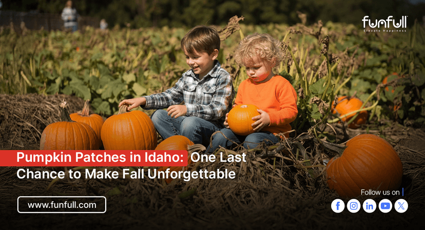 Pumpkin Patches in Idaho: One Last Chance to Make Fall Unforgettable
